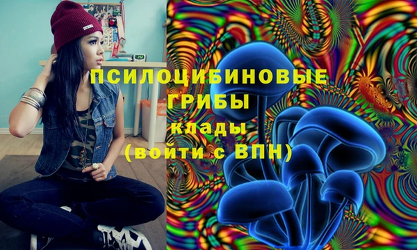 мет Верея